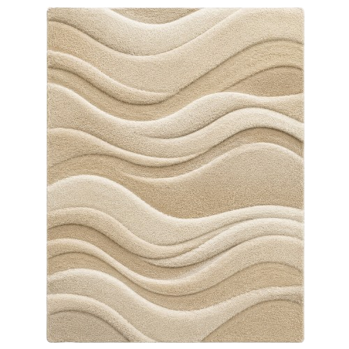 Sand Ripples